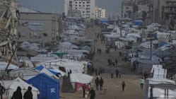 Related article image