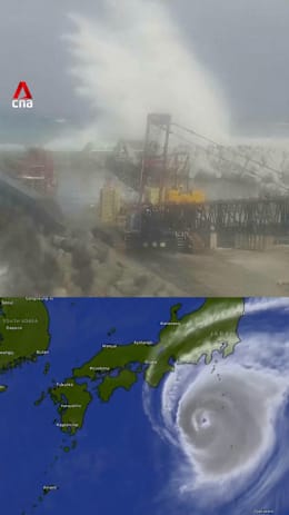 Typhoon Halong batters Japan's Izu islands