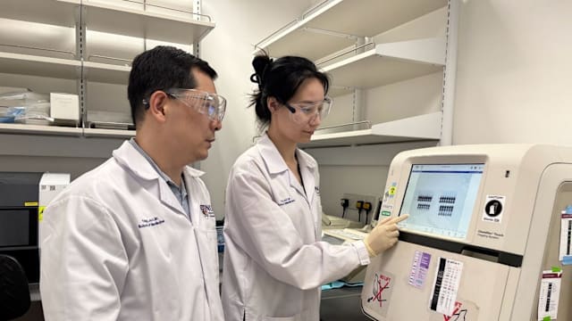 国大医学院研究发现关键蛋白 或可逆转衰老