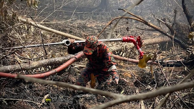 干旱加剧火患 马国本月火灾数量同比暴增五倍