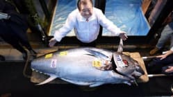 Related article image