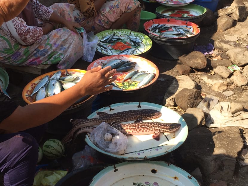 How one S’porean is caring for sharks by caring for fishermen