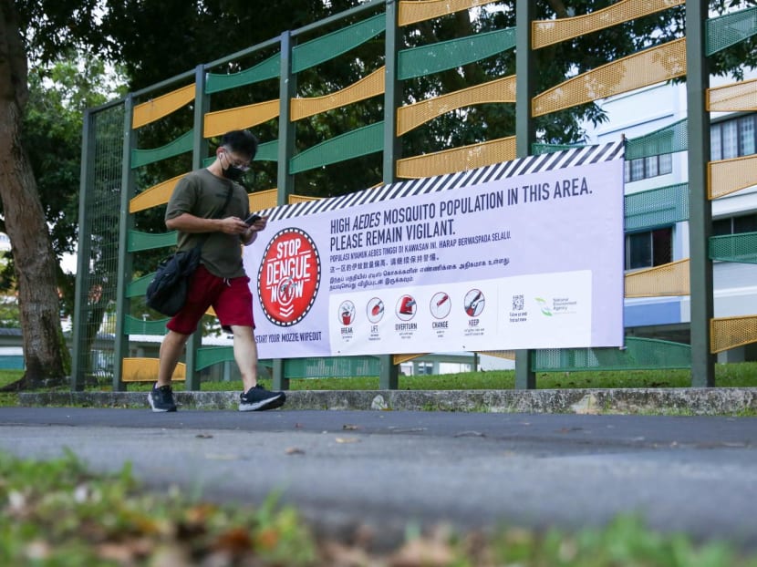 Weekly dengue case numbers still high despite fall from May peak; annual total set to reach close to 2020 record Weekly dengue case numbers still high despite fall from May peak; annual total set to reach close to 2020 record