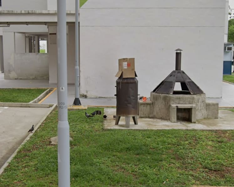 Woman, 74, charged with repeatedly feeding pigeons in Chai Chee
