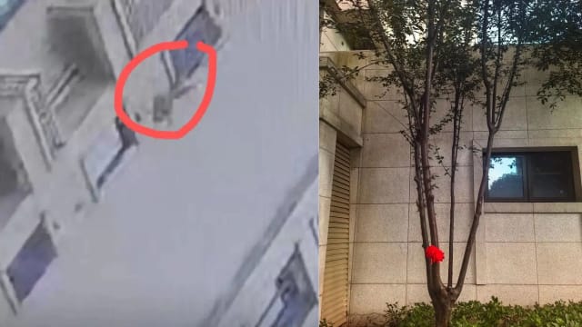 中国三岁童从18楼坠落 掉树上缓冲大难不死