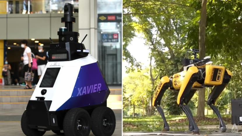 Commentary: Why does Singapore need robots to remind us to be civic-minded? Commentary: Why does Singapore need robots to remind us to be civic-minded?