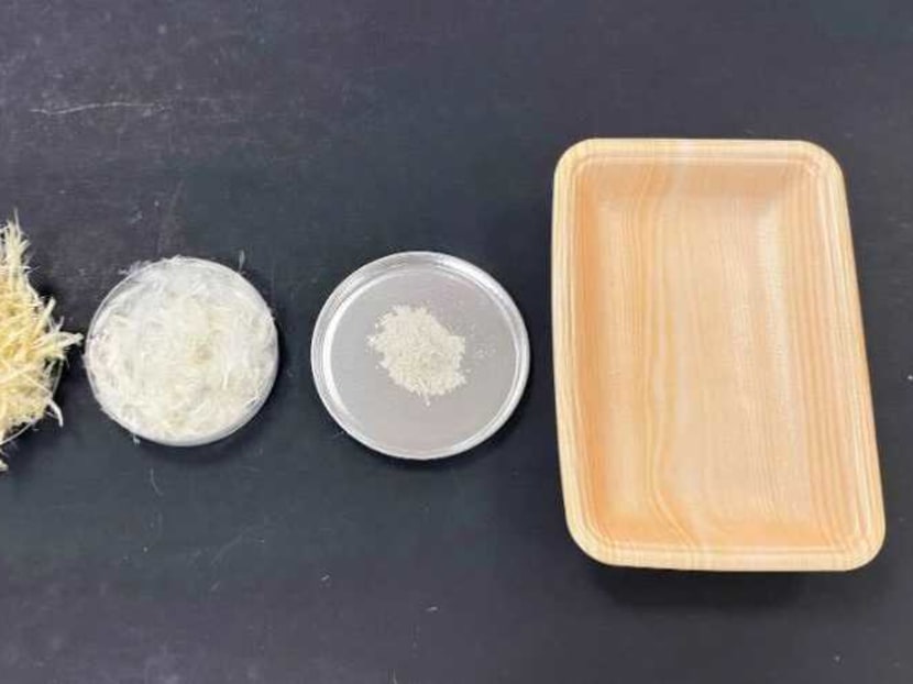 Upcycling chicken feathers among efforts to create Singapore’s first 'zero waste' poultry processing facility Upcycling chicken feathers among efforts to create Singapore’s first 'zero waste' poultry processing facility