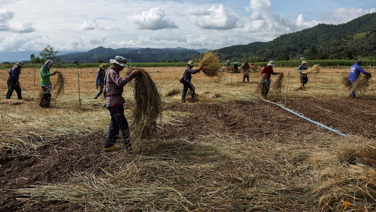 Toxic mines put Southeast Asia’s rivers, people at risk: Study