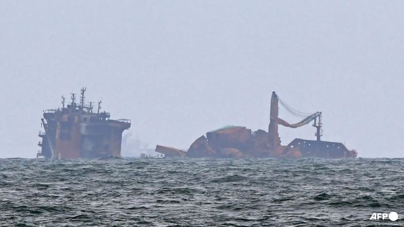 Singapore shipowner slams US$1 billion damages award after Sri Lanka marine disaster