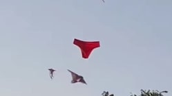 Gambar Pilihan Hari Ini