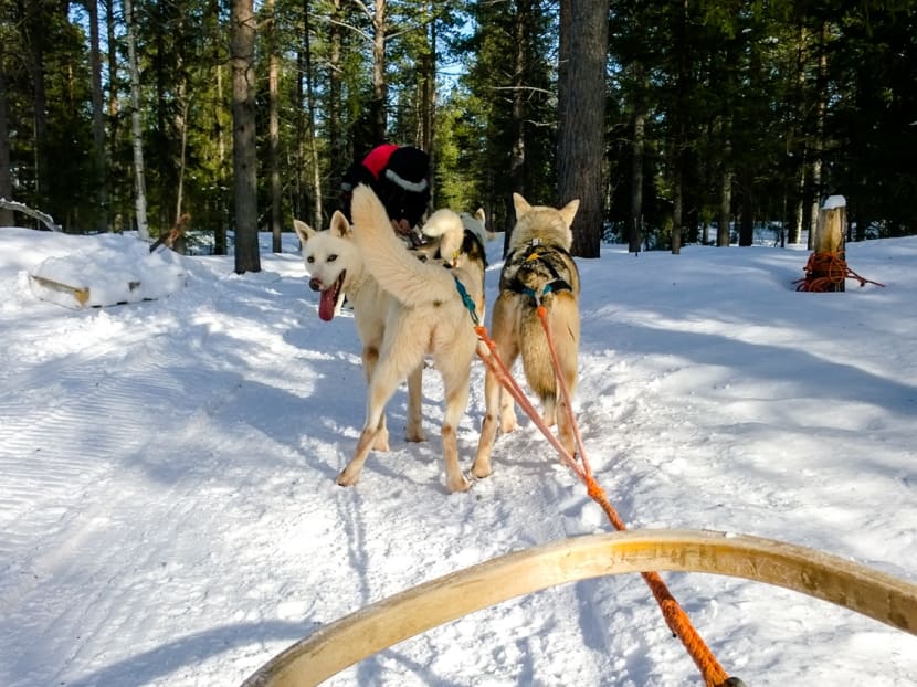 Lapland and the Northern Lights