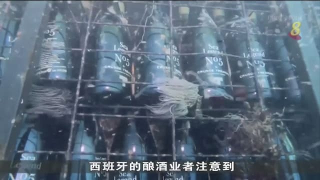 将酒浸泡在海底陈化 西班牙和日本出现海底酒窖