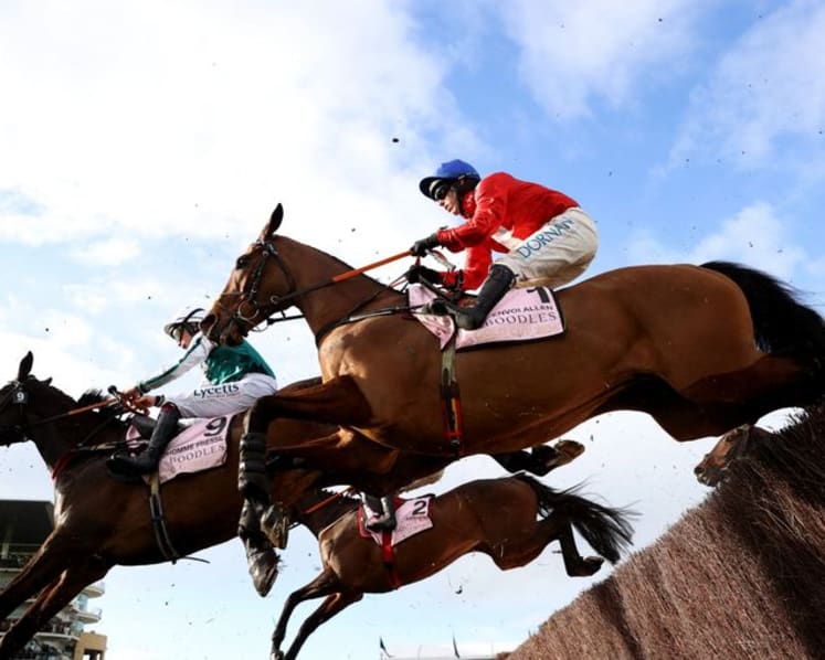 Horse Racing-Four horses die at Cheltenham Festival
