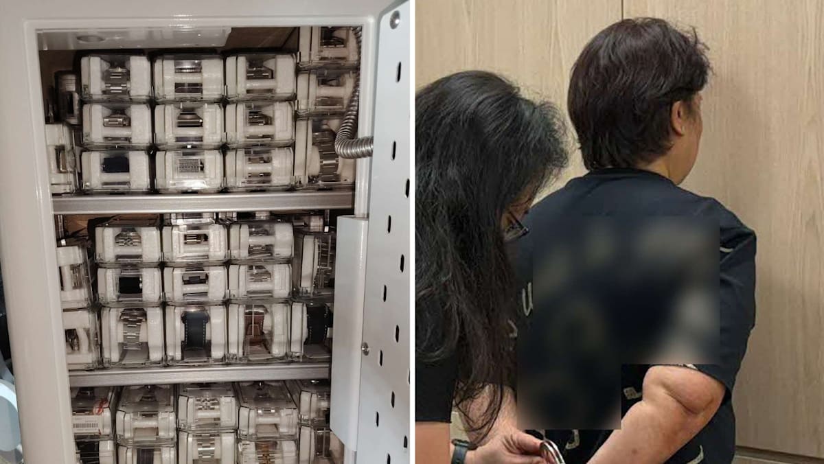 Woman arrested, 179 luxury watches worth over S million seized in IRAS raids