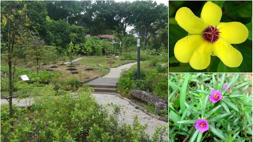 New garden open at Hort Park for Biodiversity Week