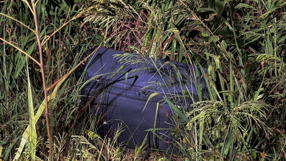 Australian man pleads not guilty to Thai suitcase murder - CNA