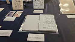 Related article image