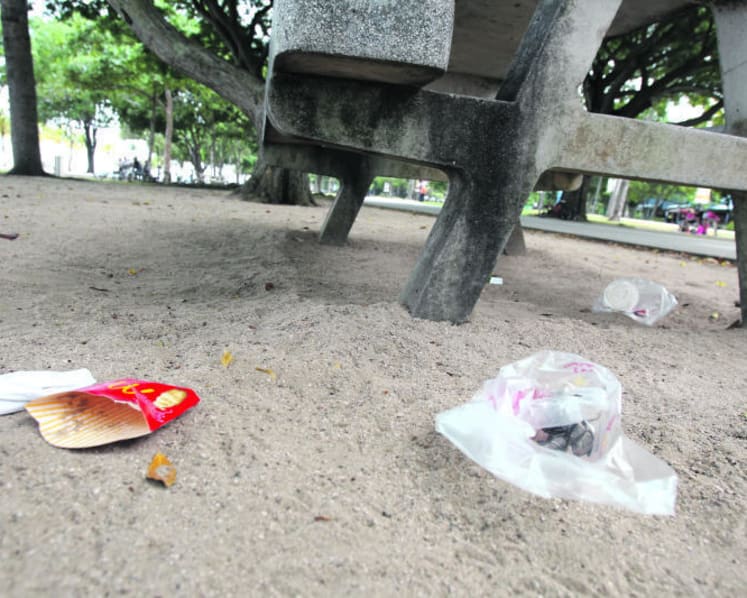 Volunteers to get enforcement powers to deal with ‘green’ offences