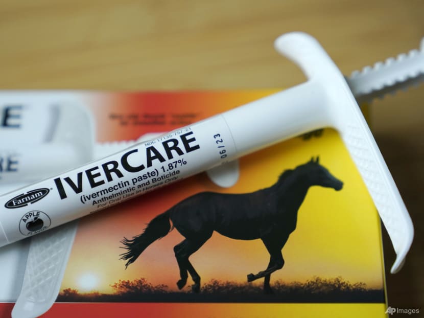 POFMA Office instructed to issue correction direction to Truth Warriors website for falsehoods on COVID-19 vaccines, ivermectin