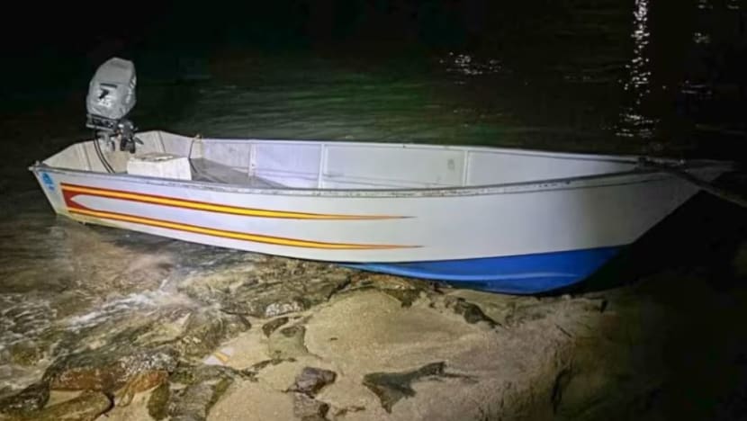 2 Indonesians arrested for illegally entering Singapore by sea