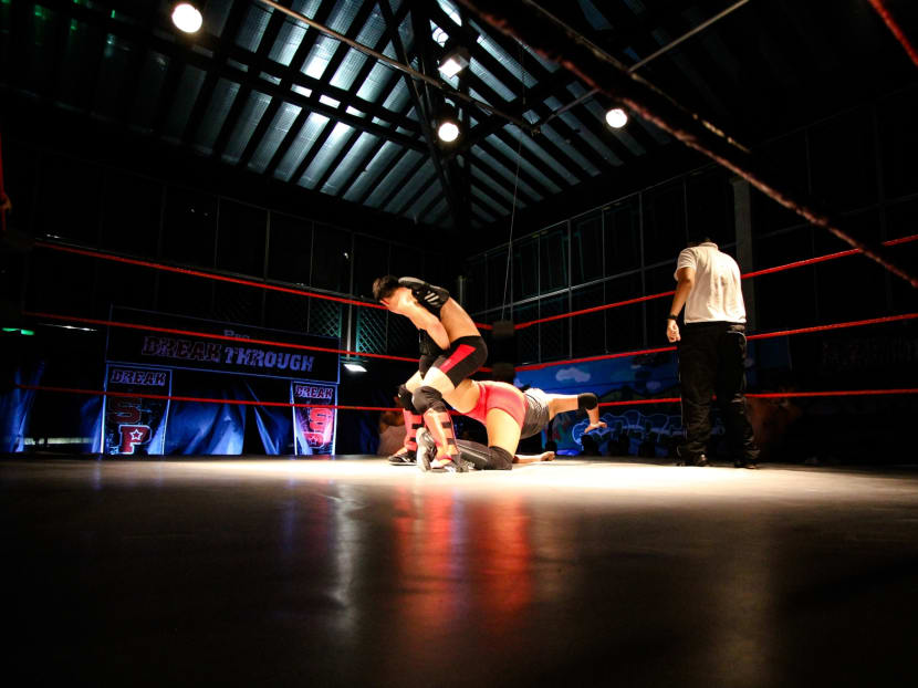 Gallery: Pro-wrestling: As real as it gets