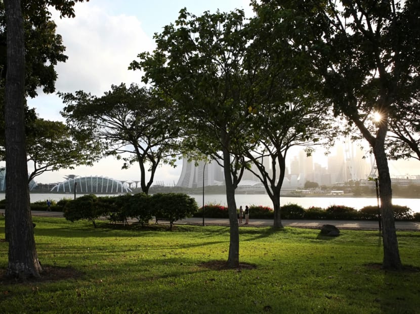 Bay East Garden at Gardens by the Bay, the preferred location of the Founder's Memorial, taken on 13 February 2017. Photo: Nuria Ling/TODAY Bay East Garden at Gardens by the Bay, the preferred location of the Founder's Memorial, taken on 13 February 2017. Photo: Nuria Ling/TODAY