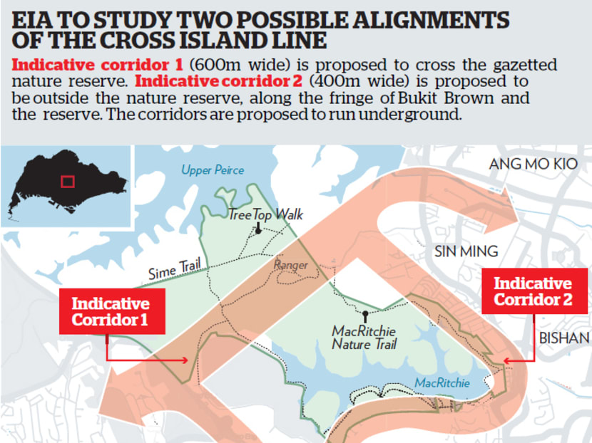 Two possible alignments of the Cross Island Line.