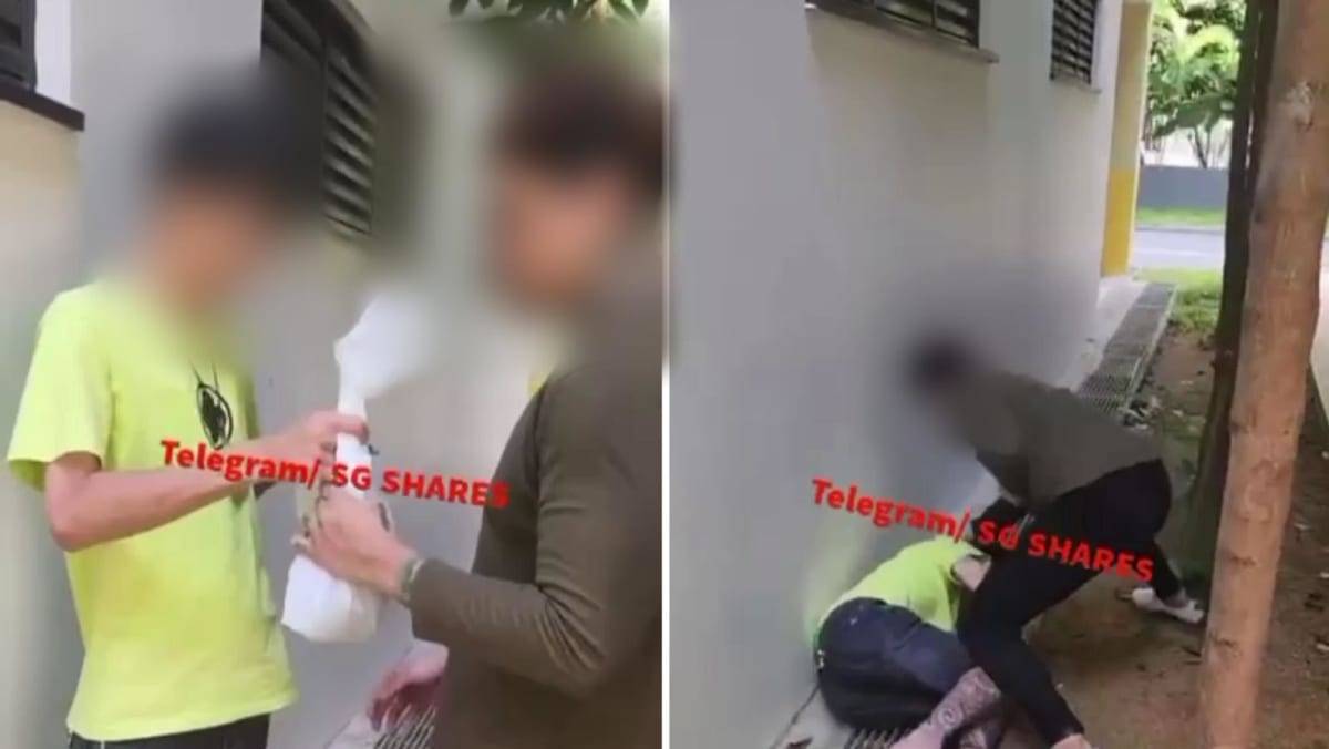 Two people arrested in Sengkang for assault and suspected drug offences