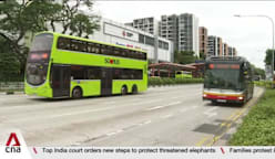 Making roads safer for all: AI-powered system, more rest time for drivers expected to improve safety
