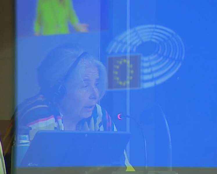 Cultural sensitivities, security risks pose challenges for using AI in real-time interpretation work in EU