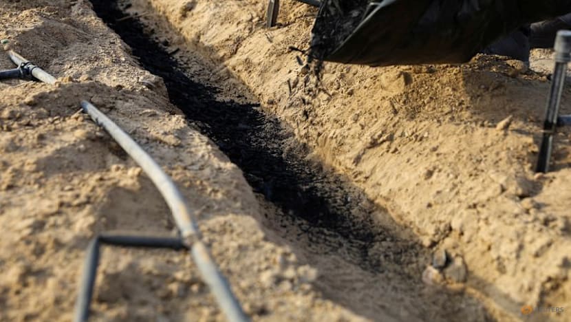 Big Tech-led demand for carbon removal credits fuels supply crunch