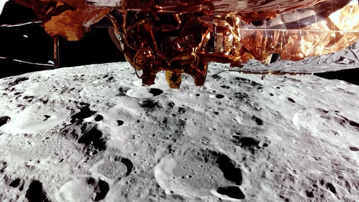 Private US spaceship lands on Moon