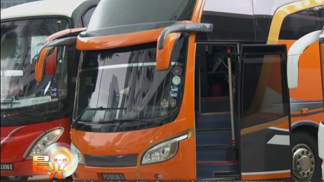 晨光|晨光聚焦：旅游车辆供不应求 缺口急需填补 