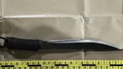 Related article image
