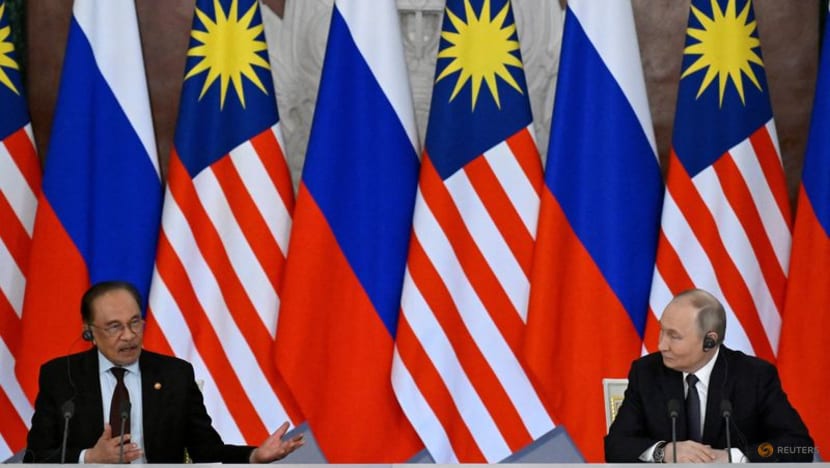 Malaysia PM Anwar discusses MH17 downing with Russia's Putin