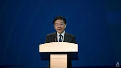 Related article image