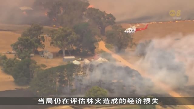 澳洲林火继续延烧 约5000户民宅电力供应中断