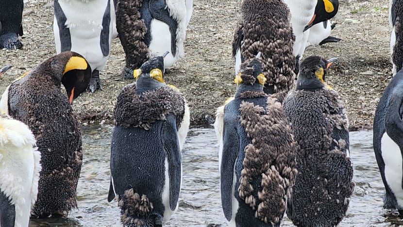 Related article image