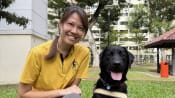 She trains guide dogs in Singapore so blind people can get around independently and confidently