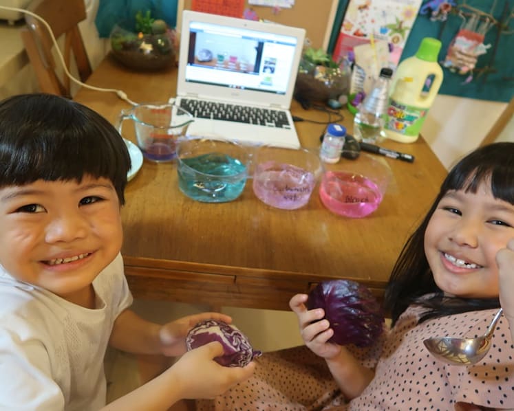 School holiday fun at home: Kids can go online to stargaze, study about animals, do science experiments