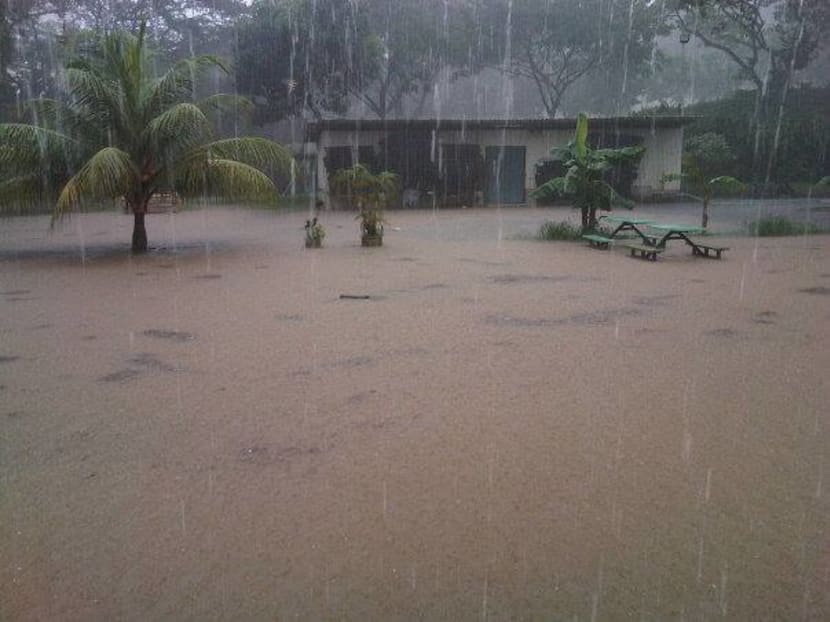 Flash floods reported in five locations: PUB