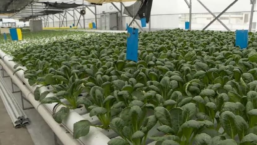 Skim perintis cucuk tanam di ruang perindustrian dilanjutkan kepada 2024 Skim perintis cucuk tanam di ruang perindustrian dilanjutkan kepada 2024