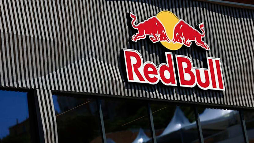 Red Bull question FIA's 'benchmark' engine call