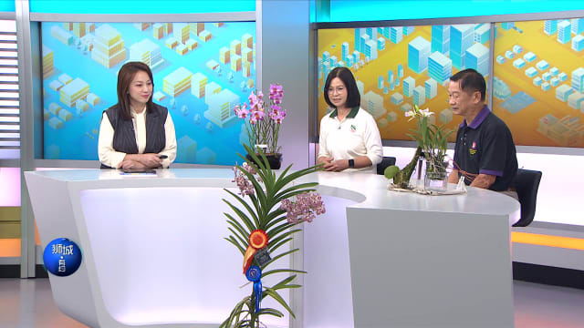 狮城有约 | 胡姬花怎么养不烂根？社区节体验多元文化