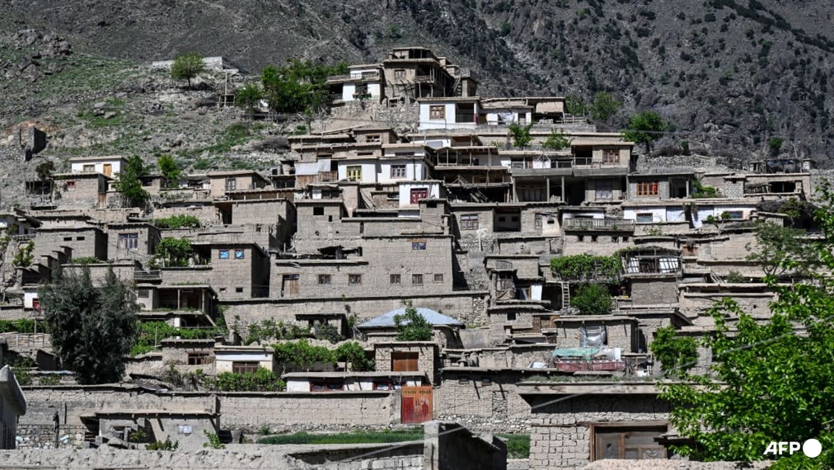 Pakistan carries out new deadly strikes on Afghani