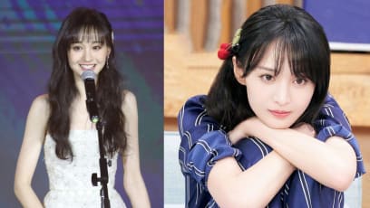 Zheng Shuang Fined S$62mil For Tax Evasion, 7 Months After Surrogacy Scandal