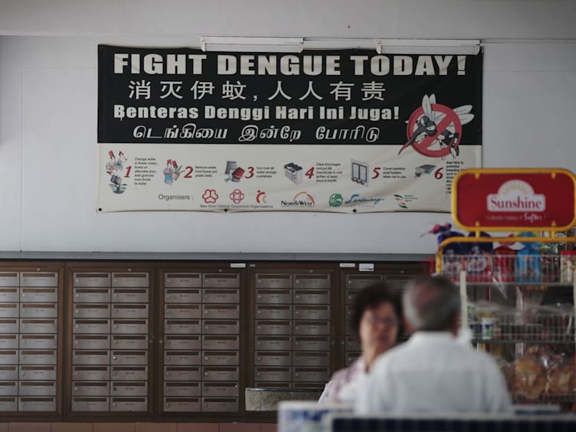 The Big Read in short: Fight against dengue to get harder