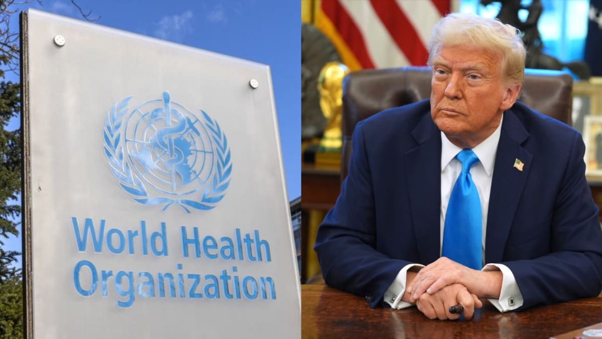 Commentary: US exit from WHO – no country can ‘go it alone’ on global ...