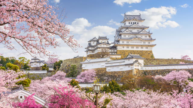 入境旅客激增 日本商家考虑对外国人多收费