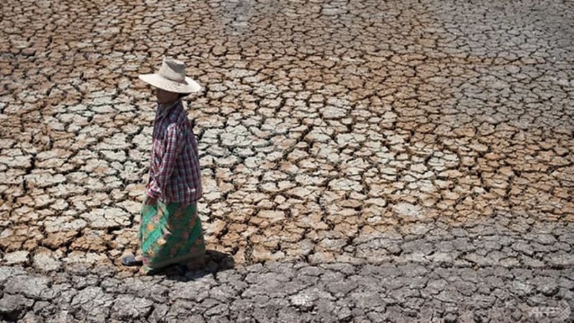 Kemarau teruk di Thailand: Para pesawah diminta tangguhkan tanam padi Kemarau teruk di Thailand: Para pesawah diminta tangguhkan tanam padi